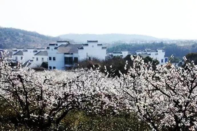 雾芯科技盘中异动 早盘大幅拉升5.06%